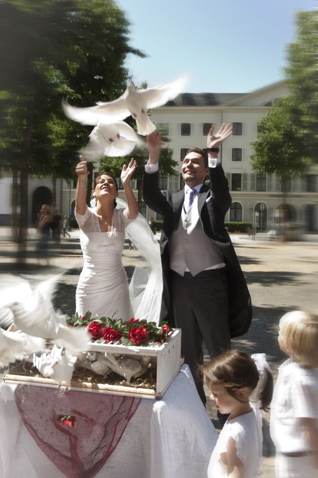 Hochzeitstauben Abflug2