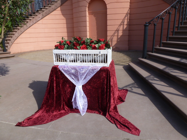 Hochzeitstauben rote Samtdecke